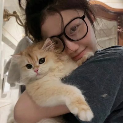小猫奇缘